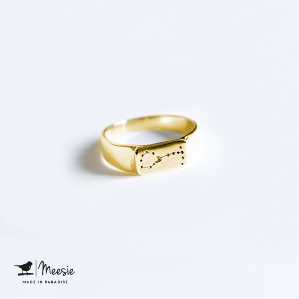 Ring Sterrenbeeld Tweeling goud op zilver Ring Sterrenbeeld Tweeling goud op zilver